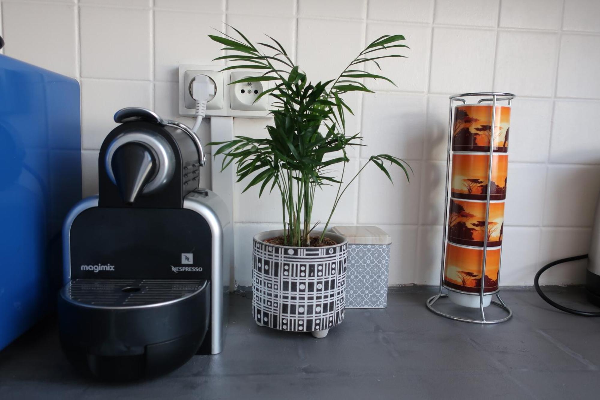 Appartement Avec Jardin Au Coeur De レンヌ エクステリア 写真
